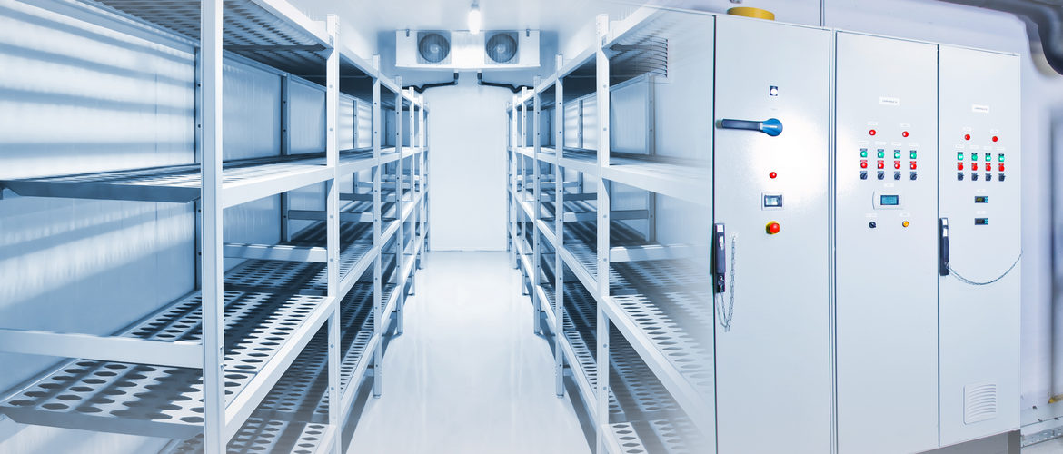 Особенности холодильных камер Особенности холодильных камер