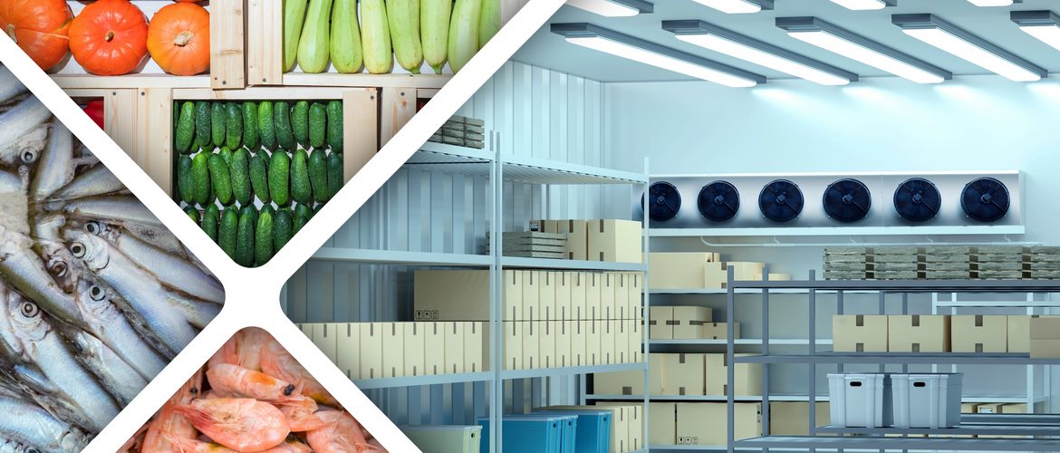 Отличие холодильных камер от холодильных шкафов Отличие холодильных камер от холодильных шкафов