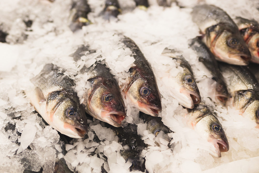 Лед в форме чешуек Лед в форме чешуек