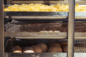 Мастер-класс совместно с брендом UNOX - фото 16 Мастер-класс совместно с брендом UNOX - фото 16